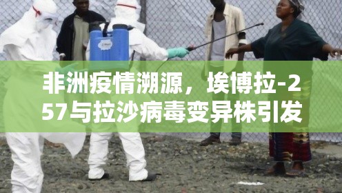 非洲疫情溯源，埃博拉-257与拉沙病毒变异株引发全球关注