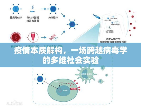 疫情本质解构，一场跨越病毒学的多维社会实验
