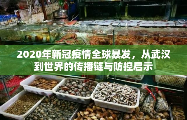 2020年新冠疫情全球暴发，从武汉到世界的传播链与防控启示