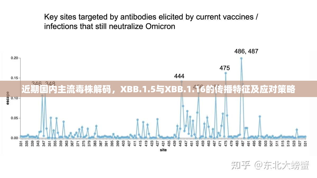 近期国内主流毒株解码,XBB.1.5与XBB.1.16的传播特征及应对策略 近期国内主流毒株解码,XBB.1.5与XBB.1.16的传播特征及应对策略