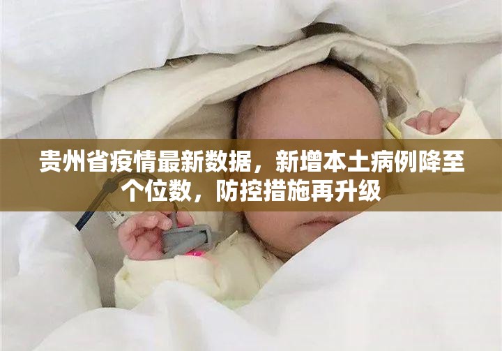 贵州省疫情最新数据，新增本土病例降至个位数，防控措施再升级