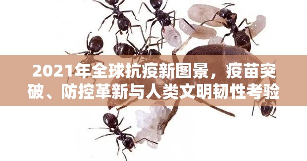 2021年全球抗疫新图景，疫苗突破、防控革新与人类文明韧性考验