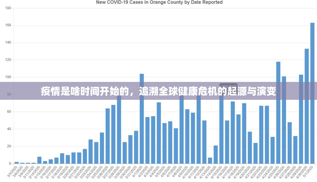 疫情是啥时间开始的，追溯全球健康危机的起源与演变