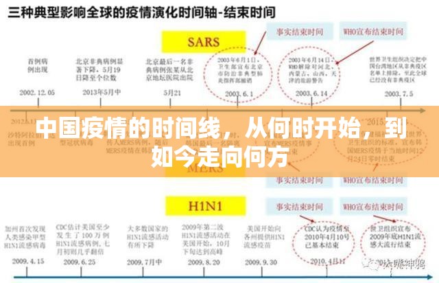 全国疫情动态追踪，精准防控下的新常态与韧性复苏