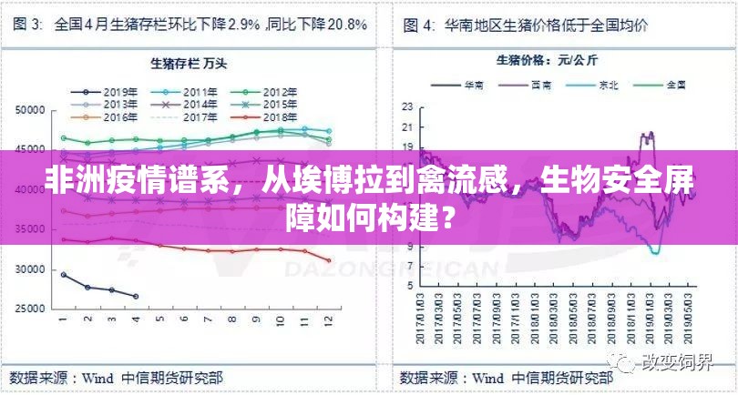 非洲疫情谱系，从埃博拉到禽流感，生物安全屏障如何构建？