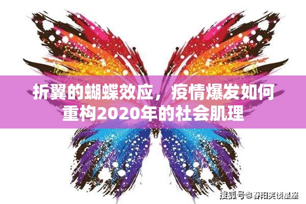 折翼的蝴蝶效应，疫情爆发如何重构2020年的社会肌理