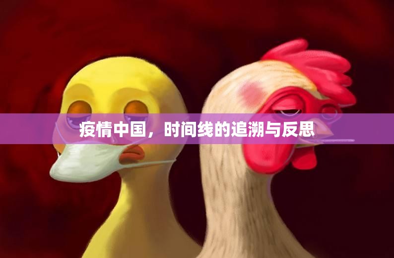 疫情中国，时间线的追溯与反思