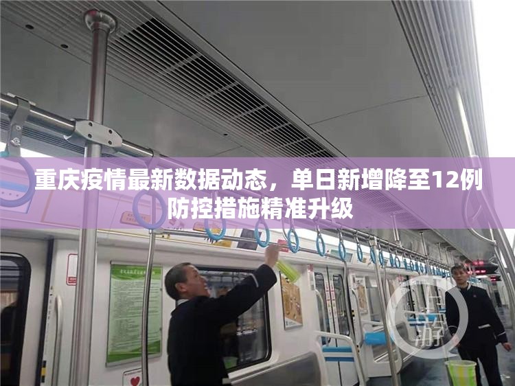 重庆疫情最新数据动态，单日新增降至12例 防控措施精准升级