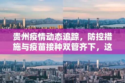 贵州疫情动态追踪，防控措施与疫苗接种双管齐下，这些新变化你需要知道