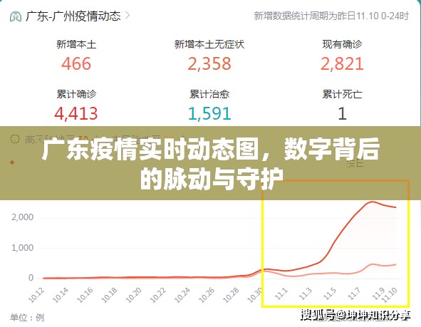 广东疫情实时动态图，数字背后的脉动与守护
