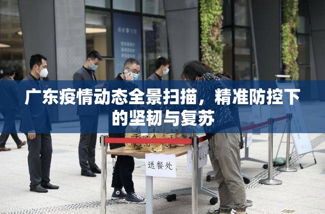 广东疫情动态全景扫描，精准防控下的坚韧与复苏