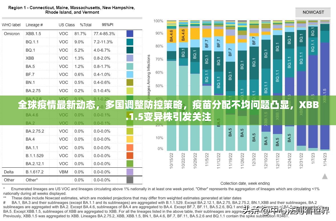 全球疫情最新动态，多国调整防控策略，疫苗分配不均问题凸显，XBB.1.5变异株引发关注