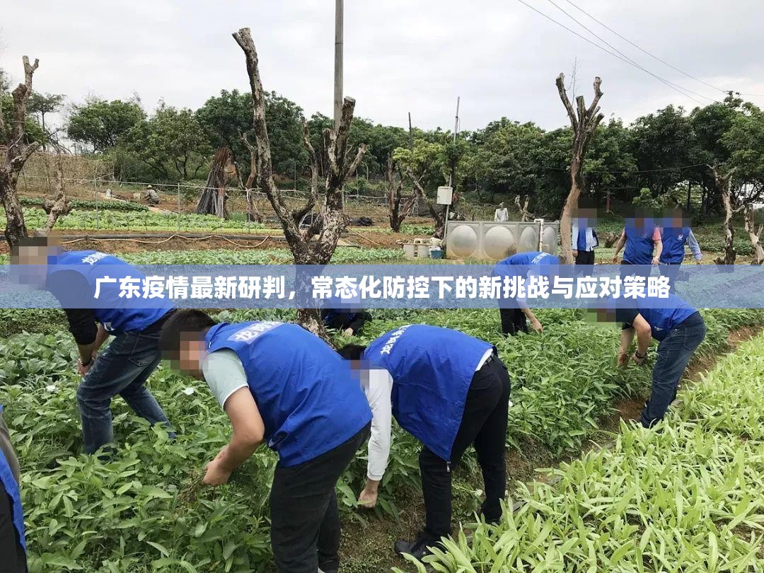 广东疫情最新研判，常态化防控下的新挑战与应对策略