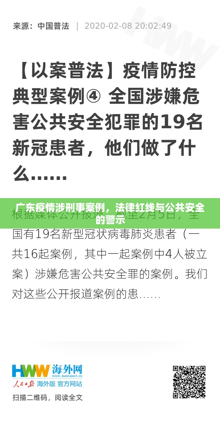 广东疫情涉刑事案例，法律红线与公共安全的警示