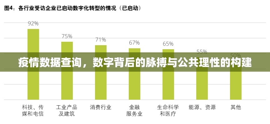 疫情数据查询,数字背后的脉搏与公共理性的构建 疫情数据查询,数字背后的脉搏与公共理性的构建