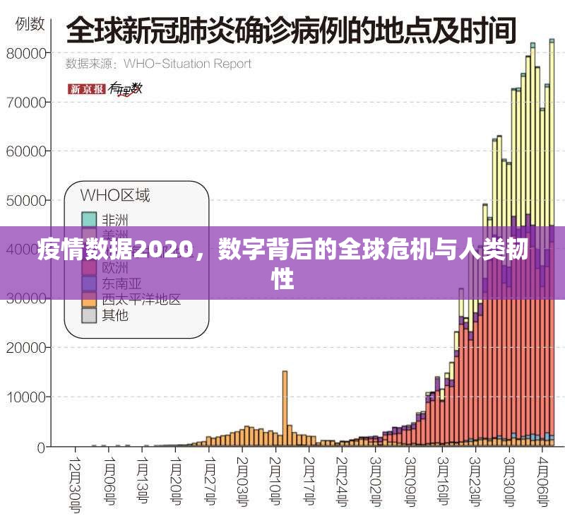 疫情数据2020,数字背后的全球危机与人类韧性 疫情数据2020,数字背后的全球危机与人类韧性