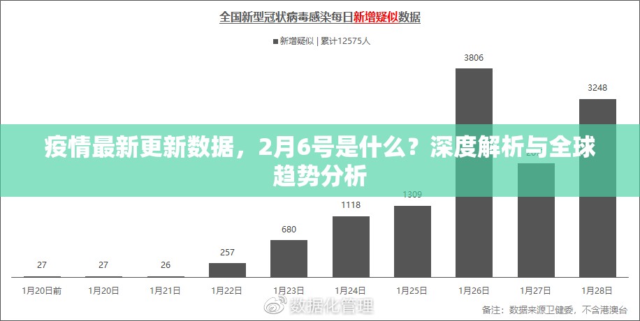 疫情最新更新数据，2月6号是什么？深度解析与全球趋势分析