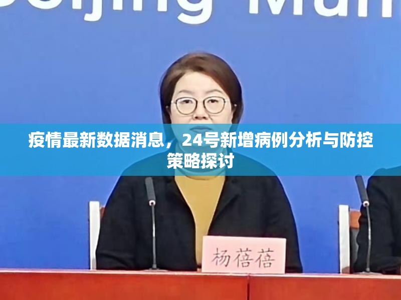 疫情最新数据消息，24号新增病例分析与防控策略探讨
