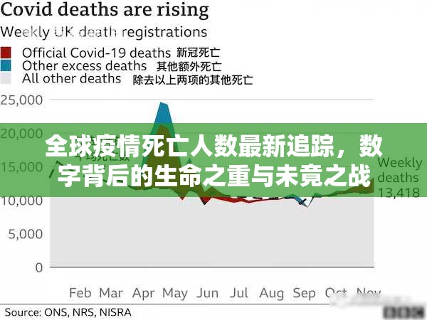 全球疫情死亡人数最新追踪，数字背后的生命之重与未竟之战
