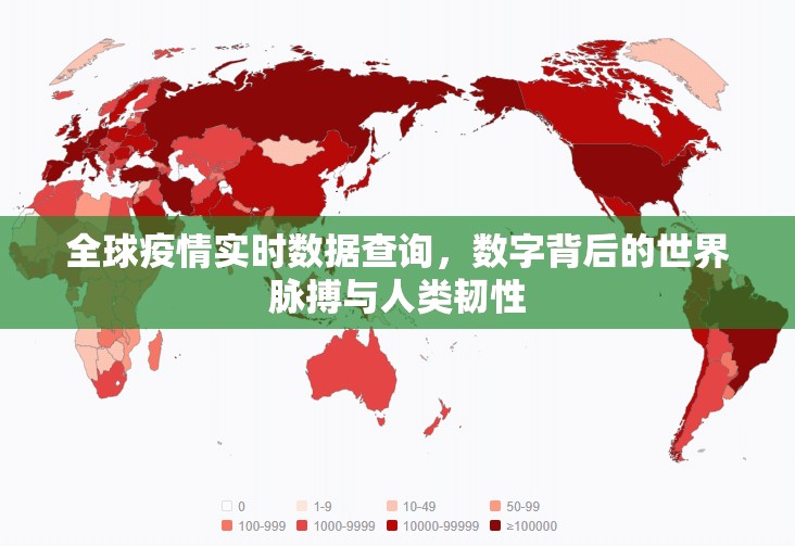 全球疫情实时数据查询，数字背后的世界脉搏与人类韧性