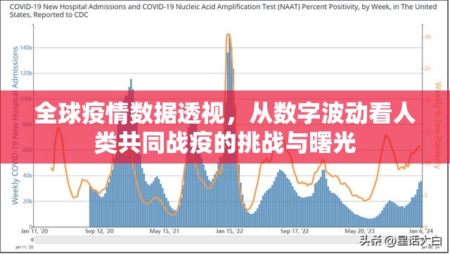 全球疫情数据透视，从数字波动看人类共同战疫的挑战与曙光