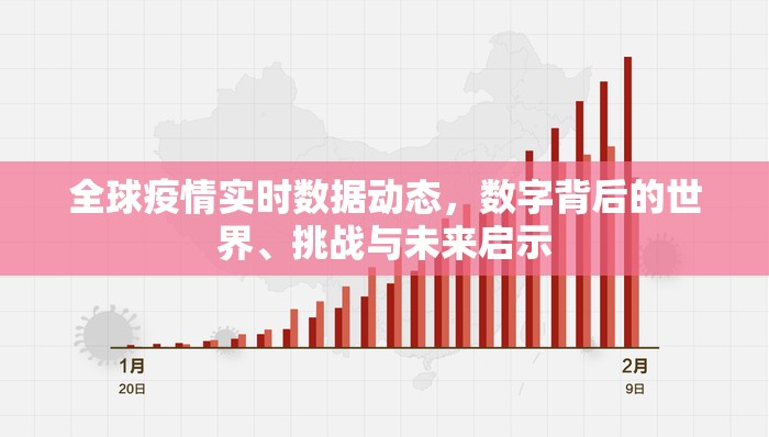 全球疫情实时数据动态，数字背后的世界、挑战与未来启示