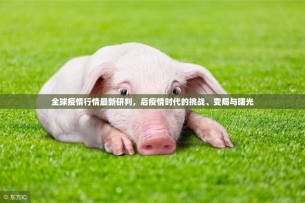 全球疫情行情最新研判，后疫情时代的挑战、变局与曙光