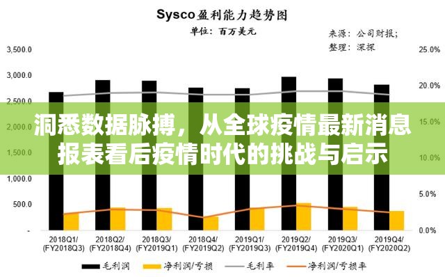 洞悉数据脉搏，从全球疫情最新消息报表看后疫情时代的挑战与启示