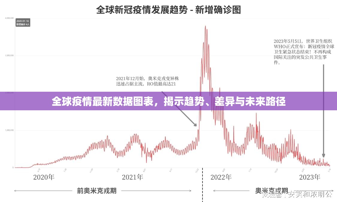 全球疫情最新数据图表，揭示趋势、差异与未来路径
