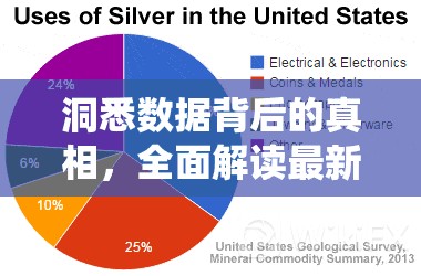 洞悉数据背后的真相，全面解读最新疫情死亡人数统计图表