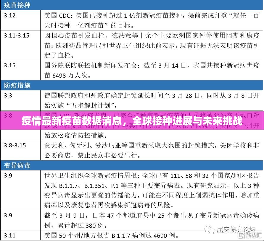 疫情最新疫苗数据消息，全球接种进展与未来挑战