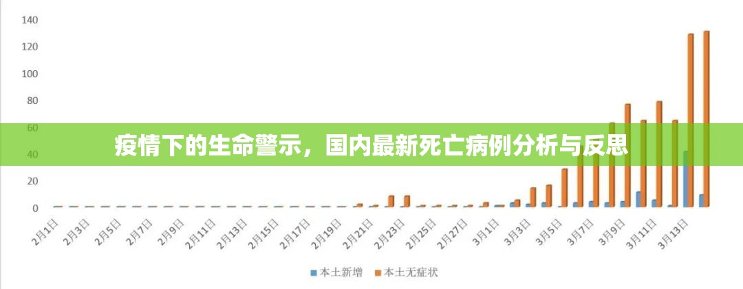疫情下的生命警示，国内最新死亡病例分析与反思
