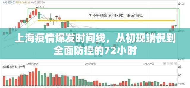 上海疫情爆发时间线,从初现端倪到全面防控的72小时 上海疫情爆发时间线,从初现端倪到全面防控的72小时