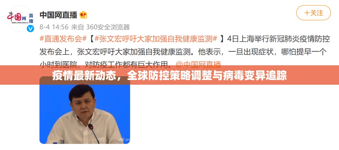 疫情最新动态，全球防控策略调整与病毒变异追踪