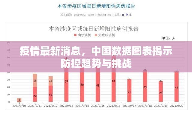 疫情最新消息，中国数据图表揭示防控趋势与挑战
