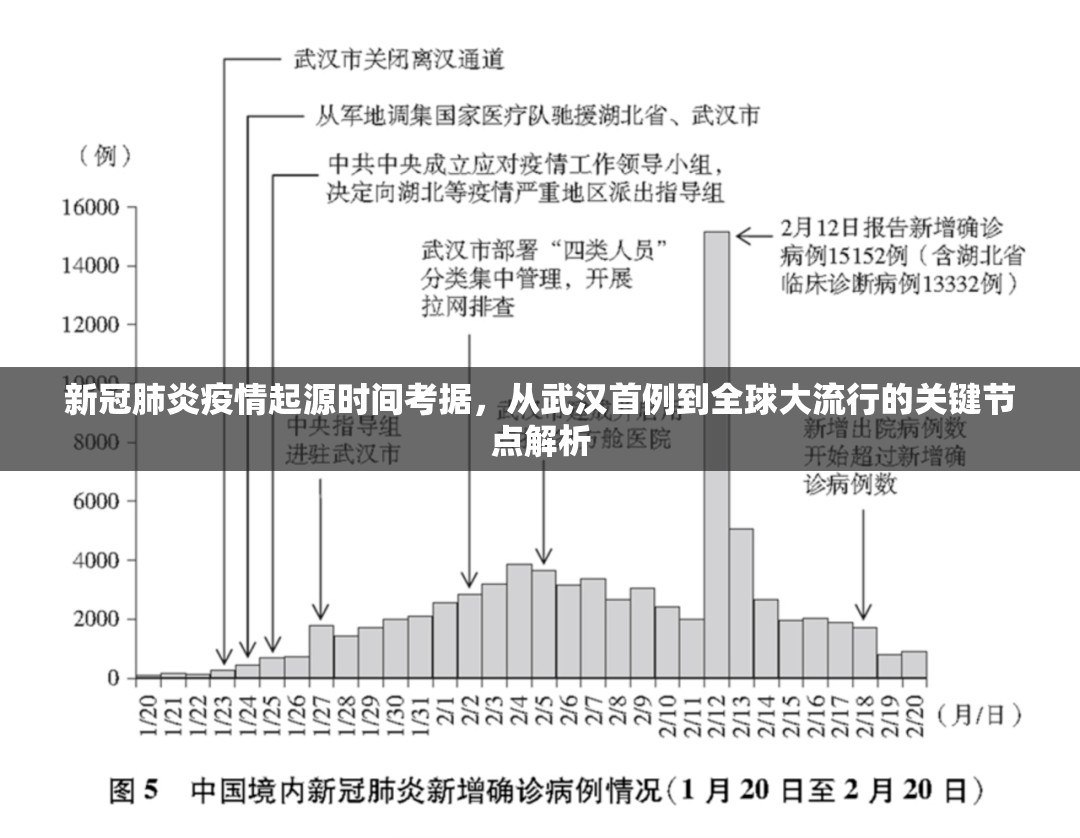 新冠肺炎疫情起源时间考据，从武汉首例到全球大流行的关键节点解析
