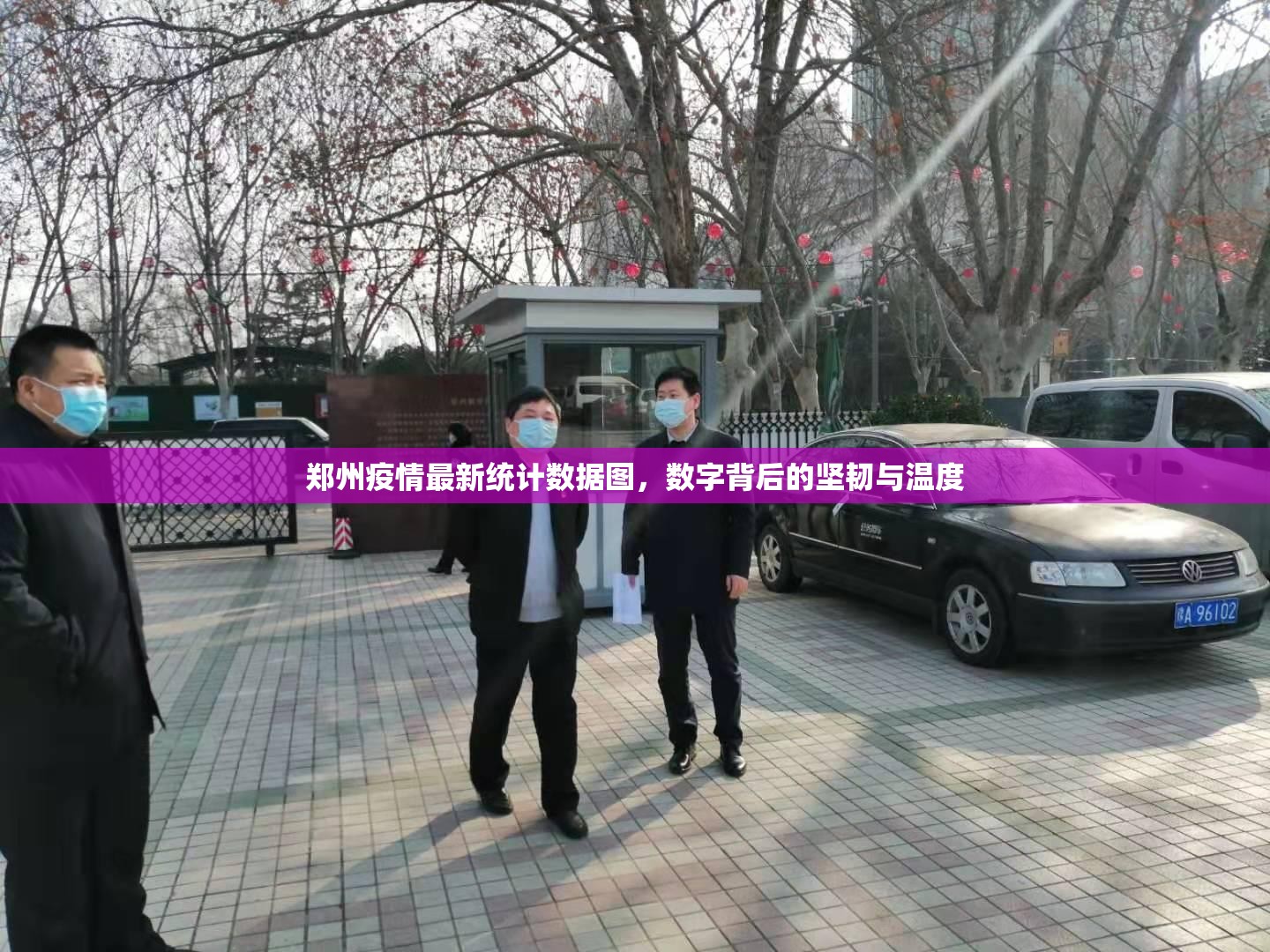 郑州疫情最新统计数据图，数字背后的坚韧与温度