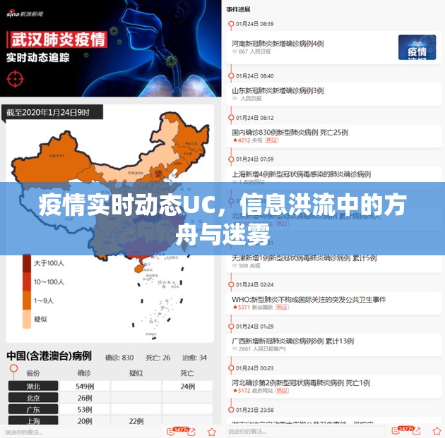 疫情实时动态UC，信息洪流中的方舟与迷雾