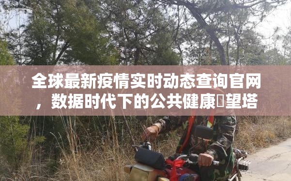 全球最新疫情实时动态查询官网，数据时代下的公共健康瞭望塔