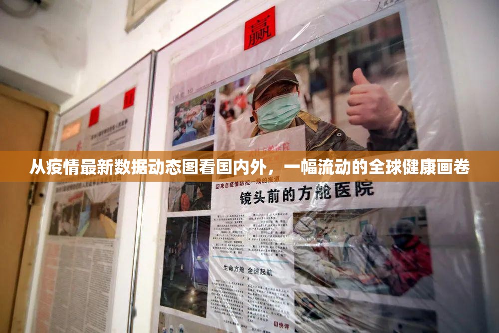 从疫情最新数据动态图看国内外，一幅流动的全球健康画卷