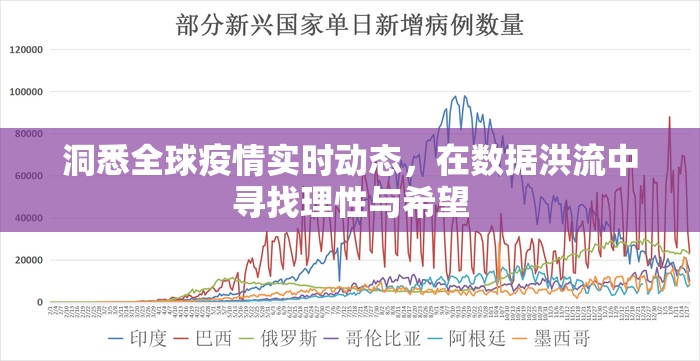 洞悉全球疫情实时动态，在数据洪流中寻找理性与希望