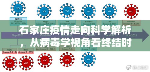 石家庄疫情走向科学解析，从病毒学视角看终结时间轴