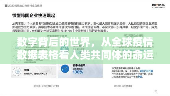 数字背后的世界，从全球疫情数据表格看人类共同体的命运与抉择