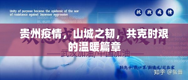 贵州疫情，山城之韧，共克时艰的温暖篇章