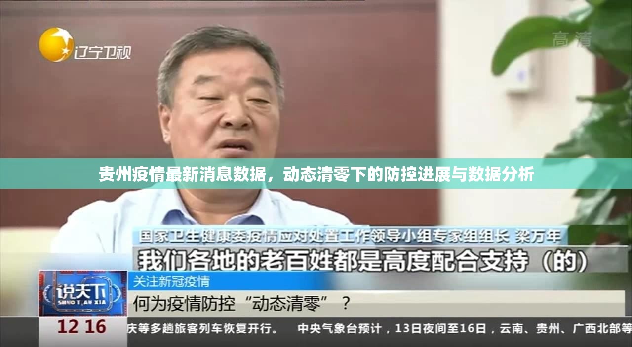 贵州疫情最新消息数据，动态清零下的防控进展与数据分析