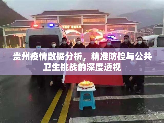 贵州疫情数据分析，精准防控与公共卫生挑战的深度透视