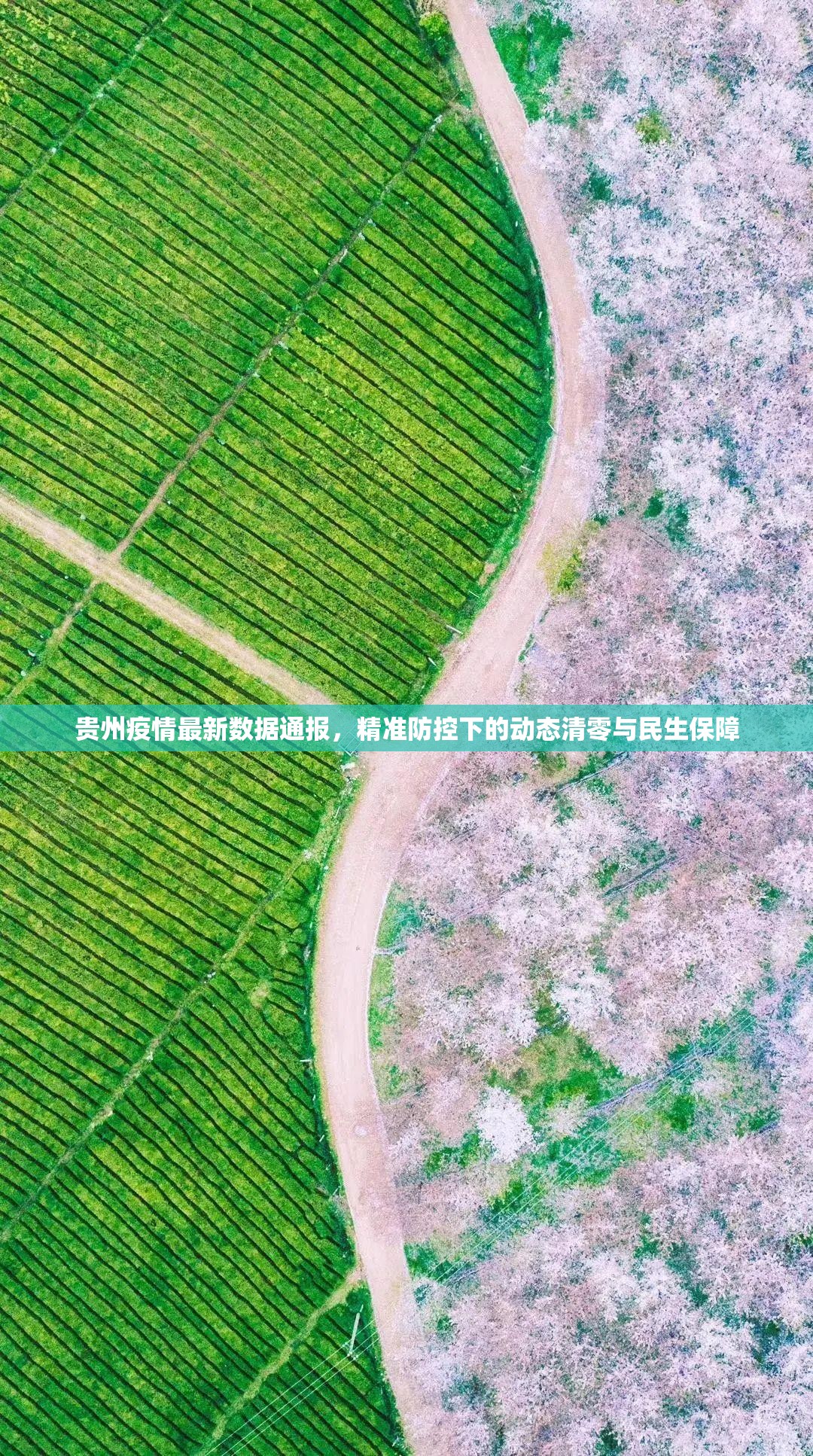 贵州疫情最新数据通报,精准防控下的动态清零与民生保障 贵州疫情最新数据通报,精准防控下的动态清零与民生保障