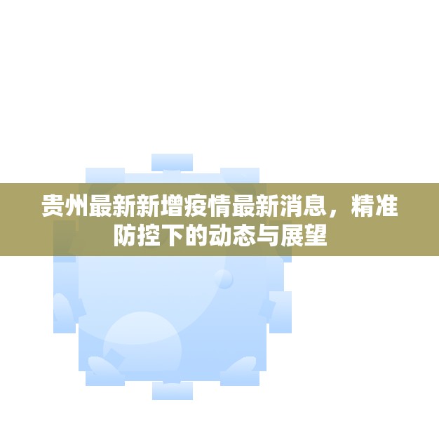 贵州最新新增疫情最新消息，精准防控下的动态与展望