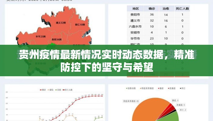 贵州疫情最新情况实时动态数据，精准防控下的坚守与希望