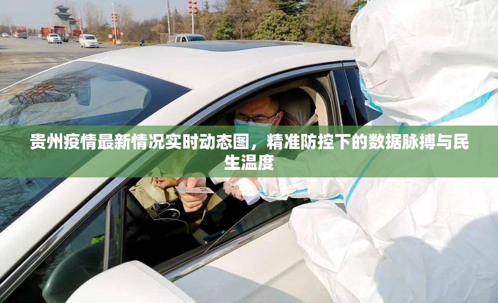 贵州疫情最新情况实时动态图，精准防控下的数据脉搏与民生温度